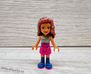 2A38.  Lego klasické - Friends