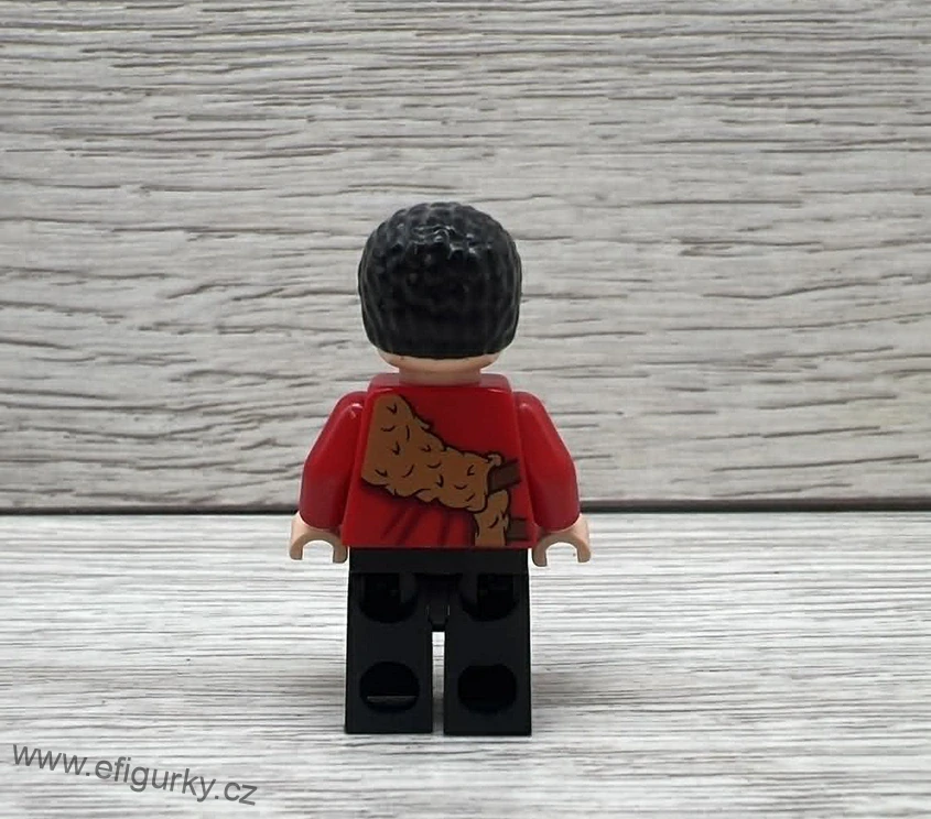 2A22 minifigurka LEGO Harry Potter - Viktor Krum, hp189