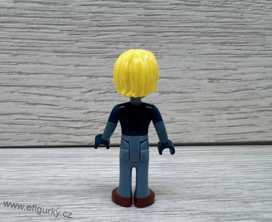 2A37. Lego klasické - Friends