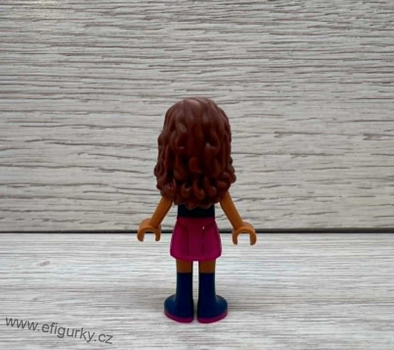 2A38.  Lego klasické - Friends