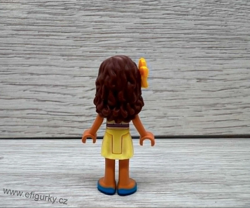 2A39.  Lego klasické - Friends