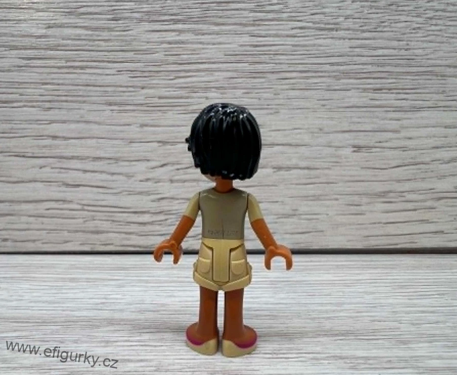 2A40.  Lego klasické - Friends