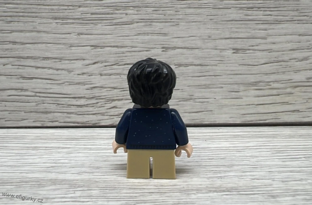 2A43. Lego klasické - Harry Potter